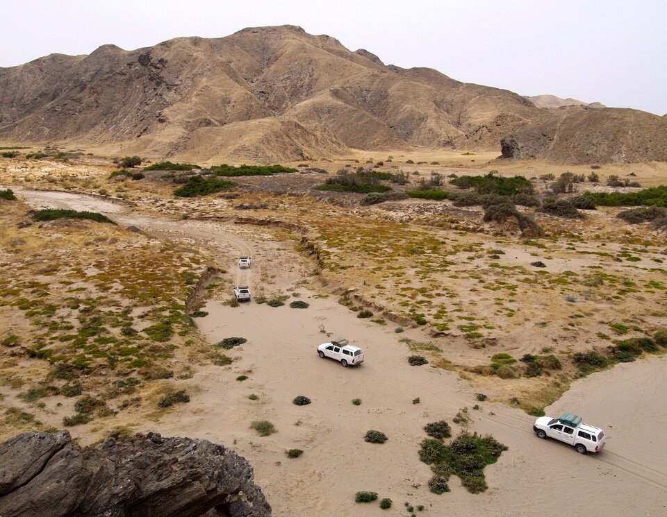 Expedition in Namibia | © 4x4 Exploring GmbH Eine Gruppe von Fahrzeugen passieren ein Bergabschnitt mit vielen Sträuchern. Offroad Namibia | © 4x4 Exploring GmbH