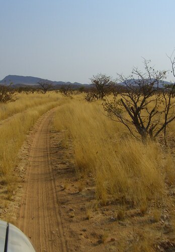 Eine sehr einladende sanfte Sandpiste durch die Steppe gegen den Sonnenuntergang. So wirkt auch eine Offroadtour fast romantisch. Offroad Namibia | © 4x4 Exploring GmbH