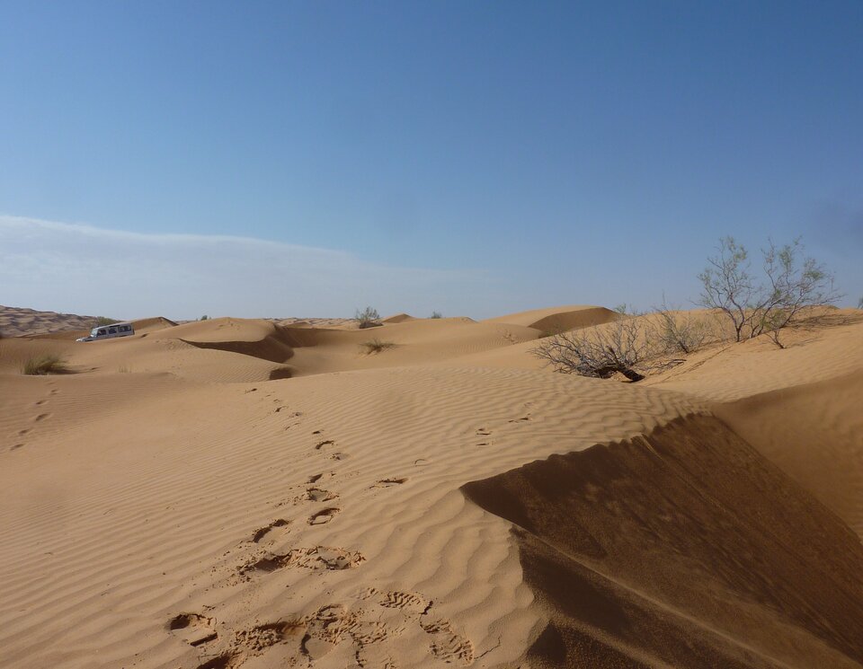 Die Wüste lädt nicht nur zum fahren, sondern auch zum Spazieren ein. Auch das ist während einer Offroad Tour möglich. Offroad Tunesien. | © 4x4 Exploring GmbH