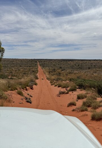 Track in der Great Sandy Dessert auf der Canning Stock Route | © 4x4 Exploring GmbH Schnurgerader Track auf der Canning Stock Route wie ein rotes Band | © 4x4 Exploring GmbH